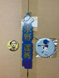 北海道日本ハムファイターズ　水野達稀選手　キーホルダーと缶バッジ