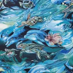 Wildlife Swimming Fish Ocean