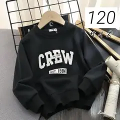 Item thumbnail for item 069fce3c-7764-4b85-87ac-3442670b5938
