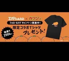 エガちゃんねる × ガツン、とみかんコラボTシャツ　ブラックXLサイズ 非売品 Amazon.co.jp: エガちゃんねる×ガツンとみかん 限定コラボ T