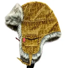 Item thumbnail for item 08d7bc8e-0d8f-4845-9445-b62e83612c73