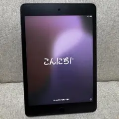 【美品】iPad mini (第5世代) 本体 スペースグレー