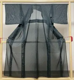 A5 夏物 壁画模様 濃い深緑色 絽 紗 化繊 小紋 着物 襦袢セット
