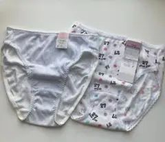 Item thumbnail for item 34fa857d-f302-44e3-94a0-5347998a46f0