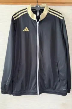 Item thumbnail for item 01e1bc13-2dc5-4e13-b8ca-1e3fb8ee12a6