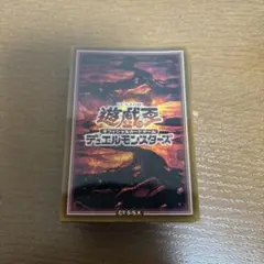 遊戯王OCG デュエルモンスターズデュエリストカードプロテクター『地属性』60枚