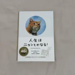 人生はニャンとかなる！