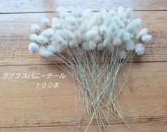 ラグラスバニーテール　ドライフラワー　100本　ハンドメイド　素材　花材
