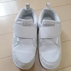 asics ホワイト すくすく 上履き 体育館シューズ 23.0