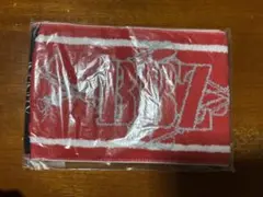 BALLSTIK BOYZ LIVE TOUR 2020 BBZ マフラータオル