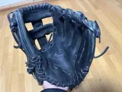 ナイキ NIKE DPRO 1175J 黒 廃盤品
