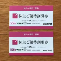 カンセキ WILD-1 株主ご優待割引券 2枚 有効期限22年11月30日