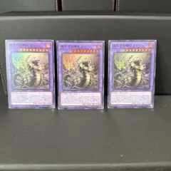 #191 遊戯王　見えざる神ゼノ　スーパーレア　3枚