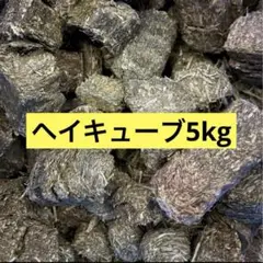 Item thumbnail for item b7a8e5e4-ec6b-4cea-893a-cc2251c09aa8