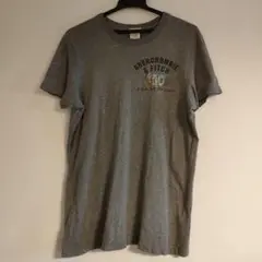 Abercrombie & Fitch グレー Tシャツ S