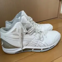アシックス ゲルトライフォース2 31cm