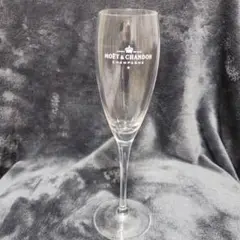 夏だ‼️MOËT & CHANDON ビーチボール・グラス・サングラスセット 夏だ‼️MOËT & CHANDON ビーチボール・グラス・サングラスセット