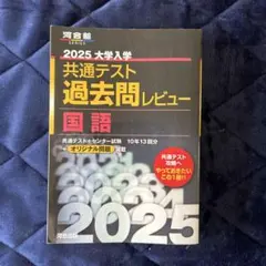 河合塾 2025大学入学共通テスト過去問レビュー 国語