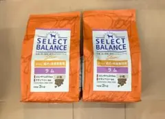 Item thumbnail for item 9669e036-5fe2-4d02-ba74-daa33f3a2e39