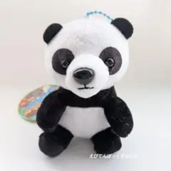 パンダ マスコット ぬいぐるみ 動物園 ふれんず マスコット アニマル