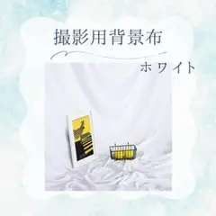 Item thumbnail for item 4ca5c5b6-6b65-4d31-b68f-8a5cc47e80ce
