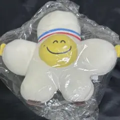 TRUZ romy big フェイスクッション ぬいぐるみ Amazon.co.jp: minini truz TRUZ ロミー ROMY フェイス