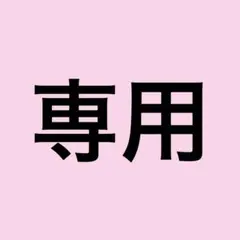 専用ページ