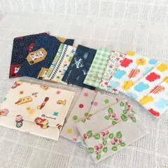 ポケットティッシュケース 普通サイズ＆ミニサイズ セット10点