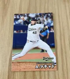 プロ野球チップス　カード　2025 第1弾　オリックス　バファローズ　マチャド