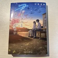 君はきっとまだ知らない