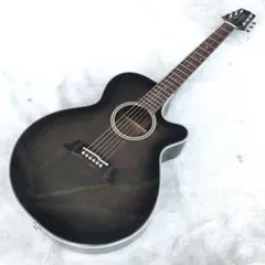 【中古　個人出品】　エレアコ　TAKAMINE　タカミネ　ＰＴ―１０６ 楽天市場】【送料無料】Takamine / PT-106【中古】【楽器/ｴﾚｱｺ