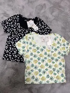 ポールアンドジョー ユニクロ Tシャツ