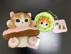 専用ページ