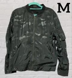 Item thumbnail for item 7bc22a19-5541-432b-bc18-38df602fde1a