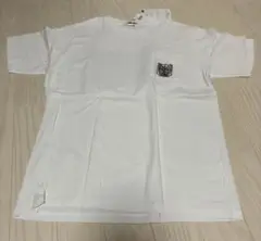 進撃の巨人　現在公開可能な情報TシャツLサイズ
