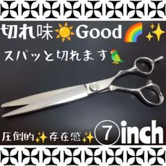 Item thumbnail for item c545cfef-f006-41d9-a34c-9fed7683f640