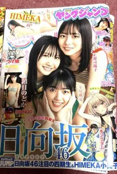 Item thumbnail for item d33b44fe-94ab-41a0-9f3a-a880a33e37fb