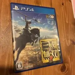 真・三國無双8
