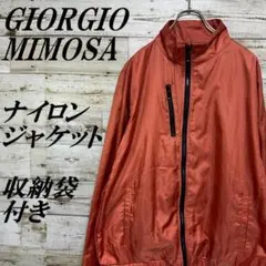 Item thumbnail for item 83572fe6-e41a-460e-a6d6-10ebeab2414a