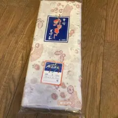 Item thumbnail for item c056b90f-f4a9-4032-9713-bb84a853f9bd