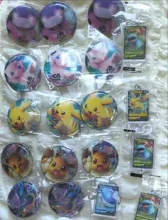 【新品未開封】ポケモンマグネット&キーホルダーまとめ売り
