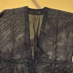 Item thumbnail for item 897dda60-f5e5-455a-bb66-64ba9997ad59