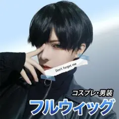 フルウィッグ ウィッグネット付き メンズ 男装 コスプレ ショート ブラック 黒