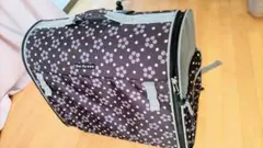 Item thumbnail for item 37953de5-a16d-4706-8554-5d5daa8cf53e
