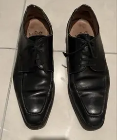 美品 ジャンカーニ ダブルモンク 24.5㌢ ストレートチップ giancani 美品 ジャンカーニ ダブルモンク 24.5㌢ ストレートチップ