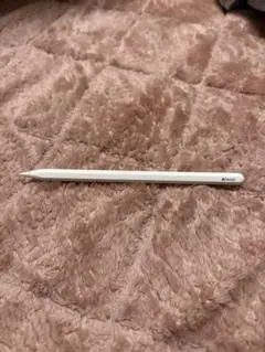 アップル ペンシル 第2世代 Apple Pencil2