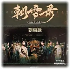 中国ドラマ♡『朝雪録～女医復讐記～』 OST/CD 1枚29曲