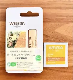 Item thumbnail for item 76e11d99-55ce-471b-95b7-7e6b44a449d5