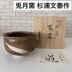 Item thumbnail for item cf6a0365-c80e-490e-939b-57fbffcb6bde