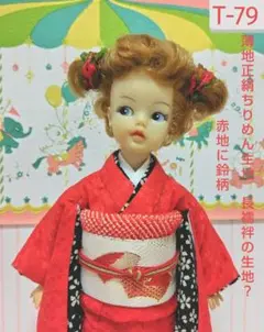 タミーちゃん着物(T-79)